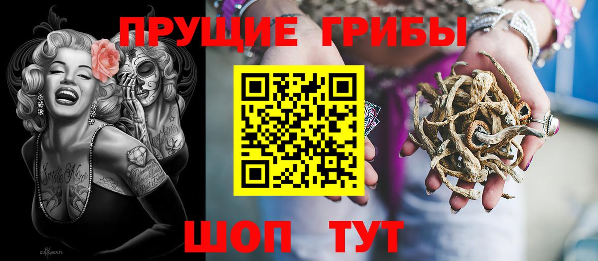 Галлюциногенные грибы Psilocybine cubensis Минусинск